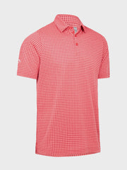 Micro Spot Polo In Teaberry Heather